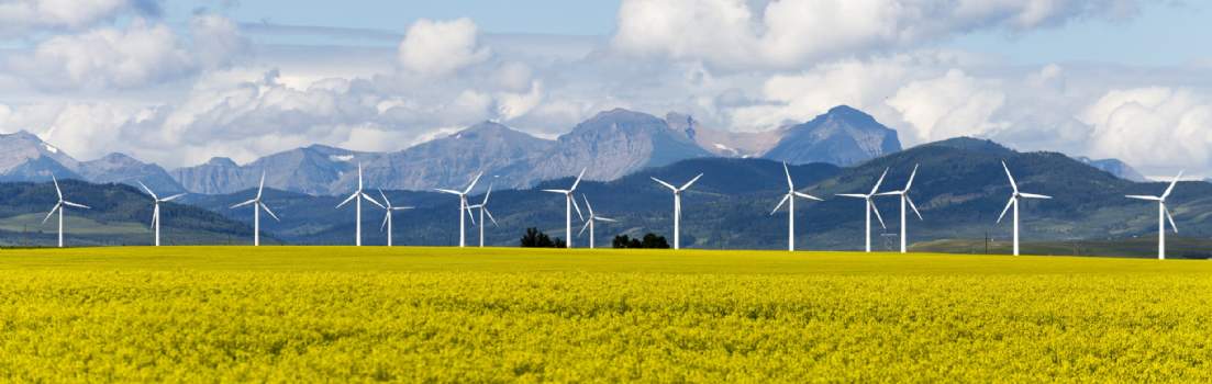 ESG and Sustainability